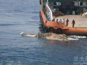 “波斯湾海怪”长这样?吓坏伊朗海军