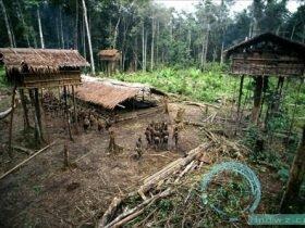 亚马逊印第安杀婴部落