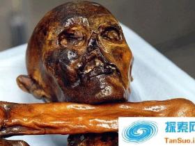 现代技术让5300年前的木乃伊