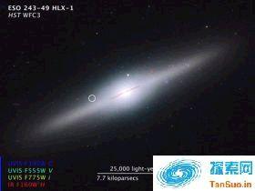 哈勃望远镜发现围绕中等质量黑洞的超级星团