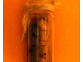 泰国恐怖邪术——炼尸油