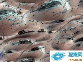 UFO探索者：NASA隐瞒火星上树木生长的证据 组图