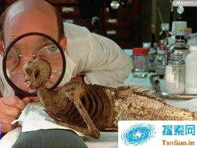 1980年南海渔民捕捉到人鱼事件