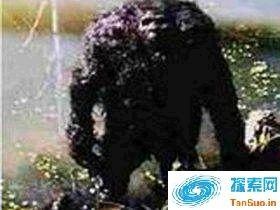 1907年内蒙古野人事件