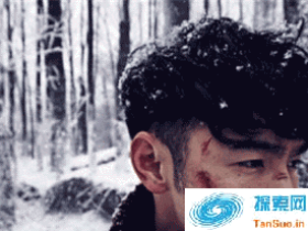 鬼吹灯之黄皮子坟 阮经天和靳东谁才是最靠谱胡八一?