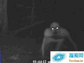 美国惊现无毛僵尸吓坏狩猎男子 类似人形双眼放光