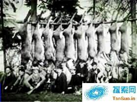 西进运动对于美国的意义 美国西进运动背景是什么