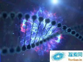 科学家在 DNA 储存的开发上又更进了一步