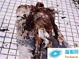 1995年成都僵尸事件大揭秘 僵尸疯狂咬人被火烧?