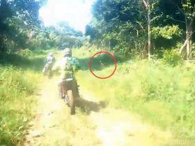 印尼出现神秘野人：跑的比摩托车还快！