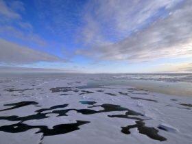 北极变暖速度为其他地区两倍，有记录以来最暖