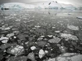 英国研究：南极洲部分地区融冰速度 比先前认为慢