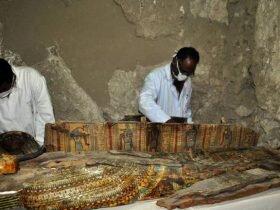 西班牙考古队发现4千年前古埃及花园遗迹