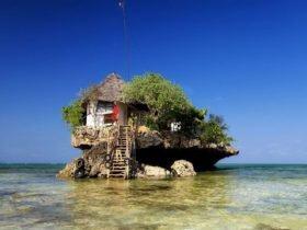 东非男子岩石上建餐厅 海中享受美味