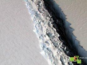 南极冰架裂缝扩大 15万企鹅因觅食困难死亡