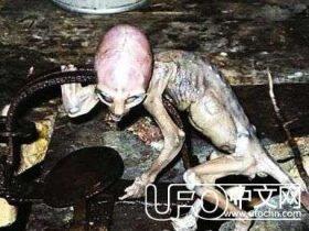 1983年7月俄罗斯外星婴儿是真的吗?巴西发现外星弃婴