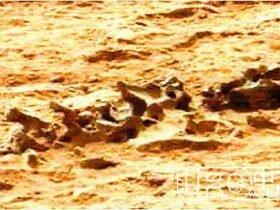 火星发现恐龙古化石？火星疑现未知生物骨骸