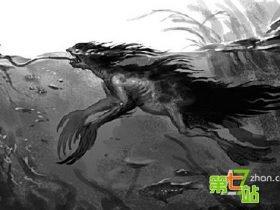 长洲猛鬼海滩惊现水鬼:小孩水中被拉脚