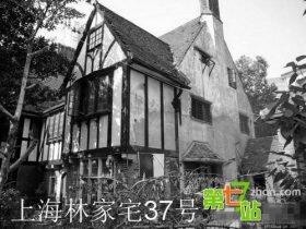 林家宅37号事件 究竟埋葬了多少不为人知的秘密