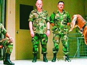 美国通灵部队是怎么回事?故宫水井是怎么回事?