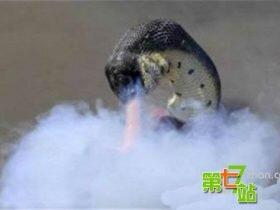 中国十大灵异事件 95年安徽巨蟒渡劫