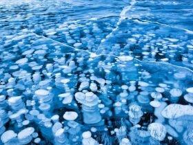 那些不可思议的幸存者