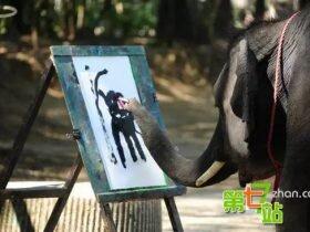 大象画画背后的真相曝光 全世界都哭了!