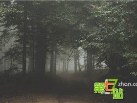 全球十大诡异事件 鬼穿墙连科学都无法解释