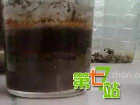 胆小者慎入!世上14种真实存在的灵异物品