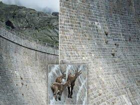 令人惊奇的死刑幸存者