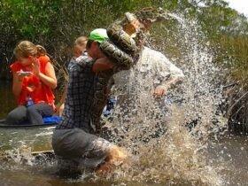 美国导游肉搏巨蟒