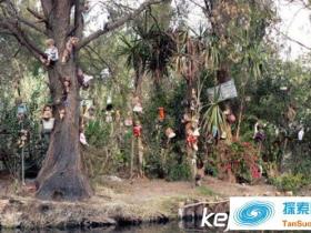 娃娃岛恐怖传说娃娃哪里来的?娃娃岛真的有小女孩鬼魂?