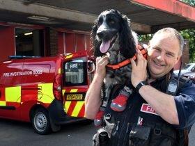 英媒:人能在中子星上行走吗?会被蒸发电离