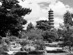 “中国风”丘园塔为何在欧洲大陆广受追捧？