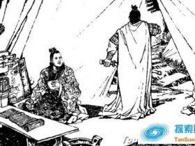 王思政的故事 历史上对王思政的评价