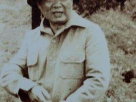 段希文的妻子儿女 段希文在泰国地位如何