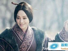 芈八子的简介 芈八子是什么意思