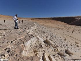 史前文明聚焦阿拉伯半岛：沙特发现距今12万年前的人类脚印