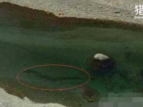 青海湖海底惊现12米巨型真龙,巨型水怪曝光(图)