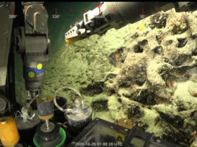 澳大利亚发现一座500米高的珊瑚礁