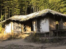 世界十大诡异图片细思极恐,有的图片看着看着就疯了