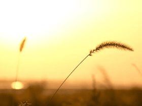 黄庭坚不出名的一首诗,却富含丰富哲理