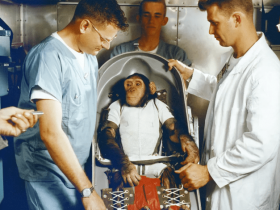 猿、机器人和人类:第一只太空猩猩的生死