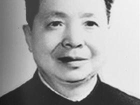 三野七兵团司令员是上将,政委却无军衔,这是怎么回事呢?