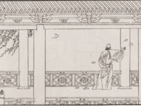 留胡子的公主妻子