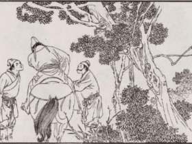 几只小猕猴变成山豹 生日会变成杀戮场