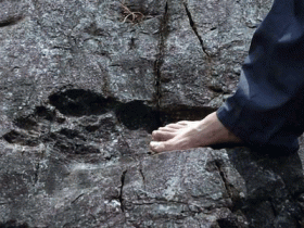 大脚野人真的存在吗?除了脚印 还没找到