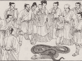 民间传说:隆冬时节 老人发现大蟒蛇在山洞里睡觉 只是因为它感谢了他
