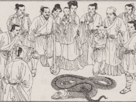 民间传说:隆冬时节 老人发现大蟒蛇在山洞里睡觉 只是因为它感谢了他