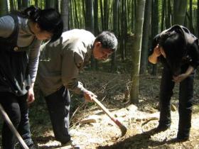 天道轮回 男子杀蛇而后被蛇追杀5年 被咬死后蛇群在他坟上安家